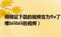 用硕鼠下载的视频变为flv了（如何使用硕鼠FLV下载哔哩哔哩bilibili的视频）