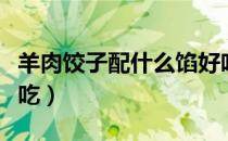 羊肉饺子配什么馅好吃（羊馅饺子配什么菜好吃）