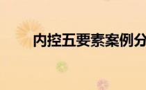 内控五要素案例分析（内控五要素）