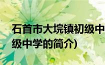 石首市大垸镇初级中学(关于石首市大垸镇初级中学的简介)