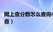 网上查分数怎么查询小学生（网上查分数怎么查）