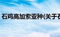 石鸡高加索亚种(关于石鸡高加索亚种的简介)