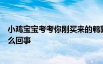 小鸡宝宝考考你刚买来的鹌鹑蛋，斑点居然能清洗掉，是怎么回事