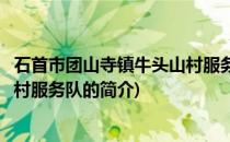 石首市团山寺镇牛头山村服务队(关于石首市团山寺镇牛头山村服务队的简介)