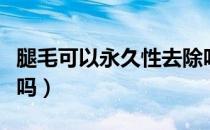 腿毛可以永久性去除吗（腿毛可以永久性去除吗）