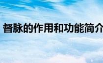 督脉的作用和功能简介（督脉的作用和功能）