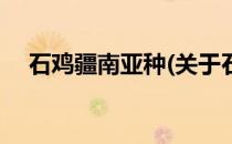石鸡疆南亚种(关于石鸡疆南亚种的简介)