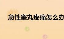 急性睾丸疼痛怎么办（睾丸疼痛怎么办）
