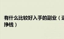 有什么比较好入手的副业（适合新手的副业 副业做什么比较挣钱）