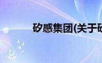 矽感集团(关于矽感集团的简介)