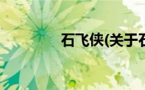 石飞侠(关于石飞侠的简介)