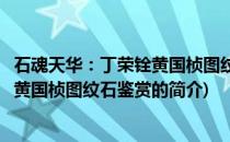 石魂天华：丁荣铨黄国桢图纹石鉴赏(关于石魂天华：丁荣铨黄国桢图纹石鉴赏的简介)