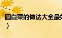 圆白菜的做法大全最好吃（圆白菜的做法大全）