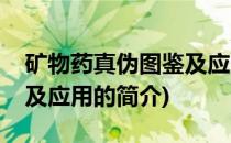 矿物药真伪图鉴及应用(关于矿物药真伪图鉴及应用的简介)
