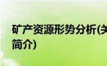 矿产资源形势分析(关于矿产资源形势分析的简介)