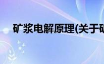 矿浆电解原理(关于矿浆电解原理的简介)