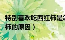 特别喜欢吃西红柿是怎么回事（特别爱吃西红柿的原因）