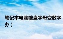 笔记本电脑键盘字母变数字（笔记本键盘字母变数字是怎么办）