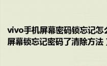 vivo手机屏幕密码锁忘记怎么解锁（vivo怎么解锁vivo手机屏幕锁忘记密码了清除方法）