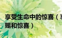 享受生命中的惊喜（享受生命呀每一天都是恩赐和惊喜）