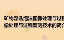 矿物浮选泡沫图像处理与过程监测技术(关于矿物浮选泡沫图像处理与过程监测技术的简介)