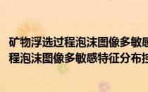 矿物浮选过程泡沫图像多敏感特征分布控制(关于矿物浮选过程泡沫图像多敏感特征分布控制的简介)