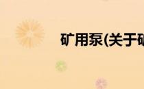 矿用泵(关于矿用泵的简介)