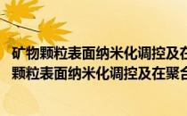 矿物颗粒表面纳米化调控及在聚合物中的填充特性(关于矿物颗粒表面纳米化调控及在聚合物中的填充特性的简介)