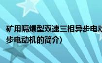 矿用隔爆型双速三相异步电动机(关于矿用隔爆型双速三相异步电动机的简介)