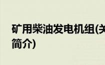 矿用柴油发电机组(关于矿用柴油发电机组的简介)