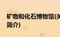 矿物和化石博物馆(关于矿物和化石博物馆的简介)