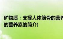 矿物质：支撑人体筋骨的营养素(关于矿物质：支撑人体筋骨的营养素的简介)