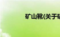 矿山靴(关于矿山靴的简介)