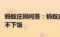 蚂蚁庄园问答：蚂蚁庄园为什么人生气容易吃不下饭