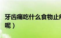 牙齿痛吃什么食物止疼（牙齿痛吃什么食物好呢）