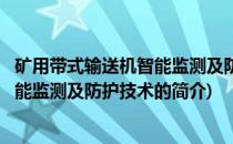 矿用带式输送机智能监测及防护技术(关于矿用带式输送机智能监测及防护技术的简介)