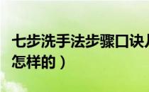 七步洗手法步骤口诀儿歌（七步洗手法步骤是怎样的）