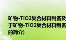 矿物-TiO2复合材料制备及其光学和光化学应用性能研究(关于矿物-TiO2复合材料制备及其光学和光化学应用性能研究的简介)