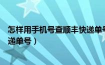 怎样用手机号查顺丰快递单号（如何使用手机号查询顺丰快递单号）