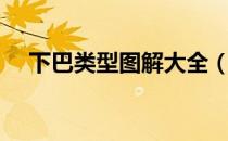 下巴类型图解大全（下巴类型图片大全）