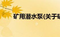 矿用潜水泵(关于矿用潜水泵的简介)