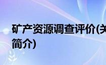 矿产资源调查评价(关于矿产资源调查评价的简介)