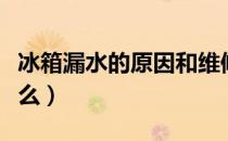 冰箱漏水的原因和维修（冰箱漏水的原因是什么）