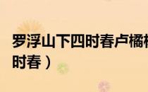 罗浮山下四时春卢橘杨梅次第新（罗浮山下四时春）