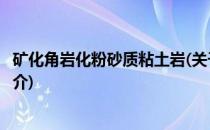 矿化角岩化粉砂质粘土岩(关于矿化角岩化粉砂质粘土岩的简介)