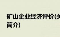 矿山企业经济评价(关于矿山企业经济评价的简介)