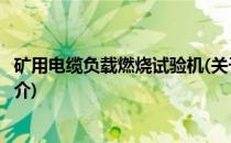 矿用电缆负载燃烧试验机(关于矿用电缆负载燃烧试验机的简介)