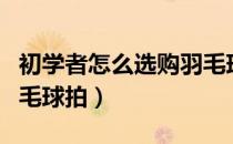 初学者怎么选购羽毛球拍（怎样给新人选购羽毛球拍）