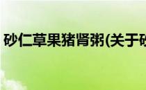 砂仁草果猪肾粥(关于砂仁草果猪肾粥的简介)