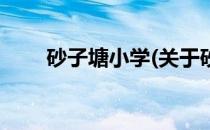砂子塘小学(关于砂子塘小学的简介)